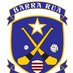 Profile Picture of BarryroeGAAClub (@BarryroeGAAClub) on Twitter