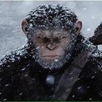 Profile Picture of Joseph Levesque (@joseph_levesque) on Instagram