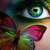 Profile Picture of Jodi Bloom (@Jodi-Bloom) on Facebook