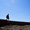 Profile Picture of Brian Shih (@brianshih112) on Flickr