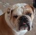 Profile Picture of Brian Marschke (@brian.marschke) on Facebook