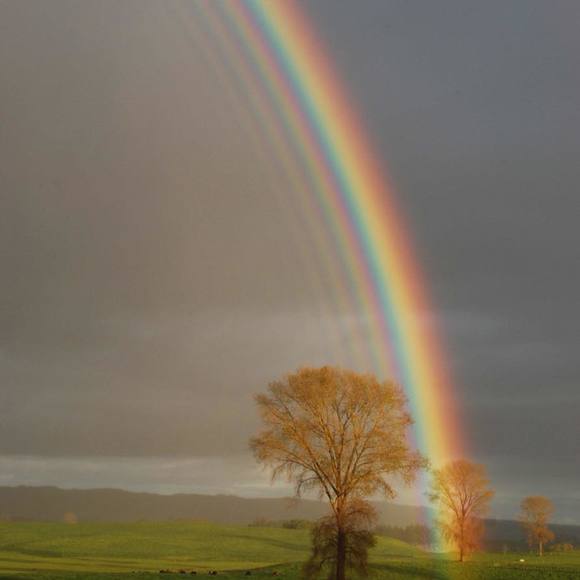 Profile Picture of Andrea Padron porras (@andreapadron298) on Poshmark