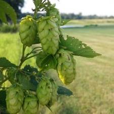 Profile Picture of Sam Schmidt (@Sam_Schmidt_) on Twitter