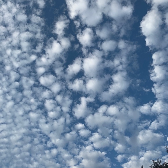 Profile Picture of Ivy Greene (@ivygreene360) on Poshmark