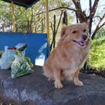 Profile Picture of allison rocha (@allison20rocha) on Instagram