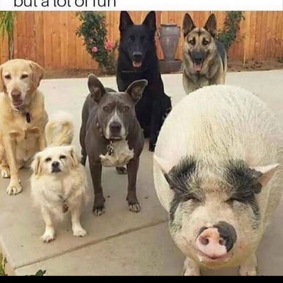 Profile Picture of Sarah Butsch (@sarahjane_20) on Poshmark