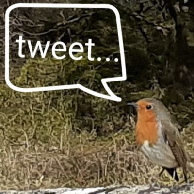 Profile Picture of Steve Kimberley (@coundonroad) on Twitter