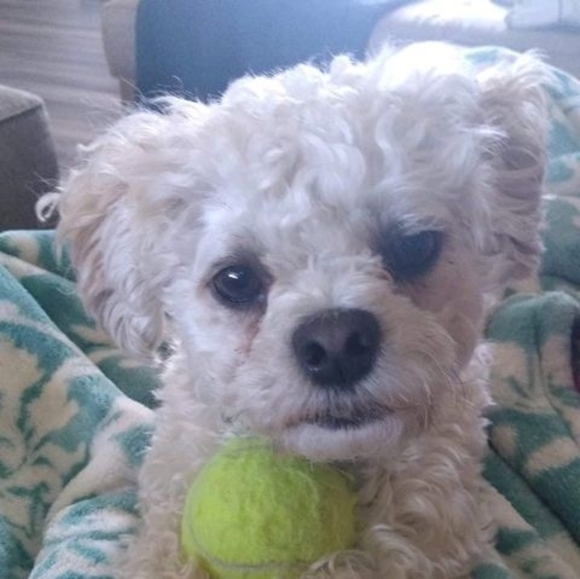 Profile Picture of Connie Reister (@cjreister1) on Poshmark