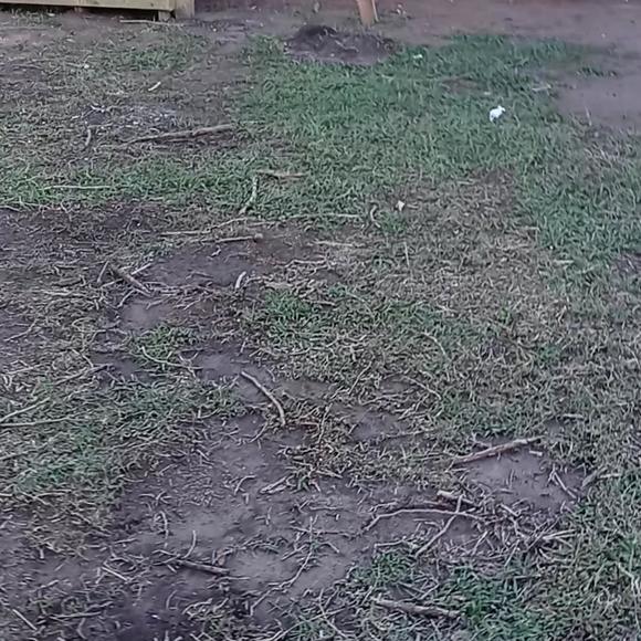 Profile Picture of Clarence Brooks (@clarence_brooks) on Poshmark