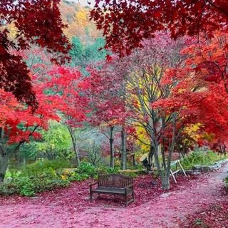 Profile Picture of Imad Mansour 11 (@ImadMansour111) on Twitter