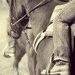 Profile Picture of Brenda Crabtree (@herecomesthejud) on Pinterest