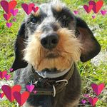 Profile Picture of Daniela Berzano (@berzanodaniela) on Instagram