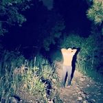 Profile Picture of Benjamin Sadek Kennedy (@soy.el.chamin) on Instagram