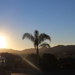 Profile Picture of Jared Lambert (@j.k.lambert) on Instagram