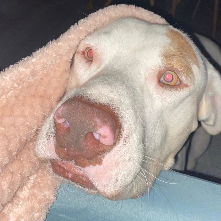Profile Picture of Randy (@randymasiel) on Tiktok