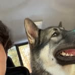 Profile Picture of Steve Silva (@Steve-Silva) on Facebook