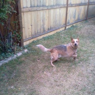 Terry Bojarski - Facebook Profile Picture of Terry Bojarski (@Terry-Bojarski) on Facebook