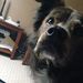 Profile Picture of Ava’s Adventures (@avafields02) on Pinterest