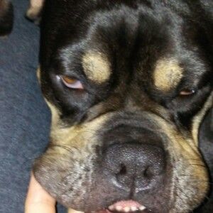 Profile Picture of Krystal Lowrey (@krystallowrey) on Tiktok