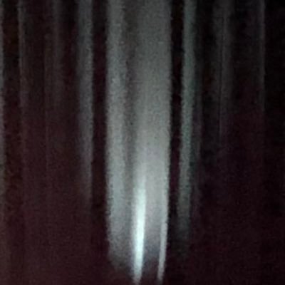 Profile Picture of Devin (@Devintrout45635) on Twitter