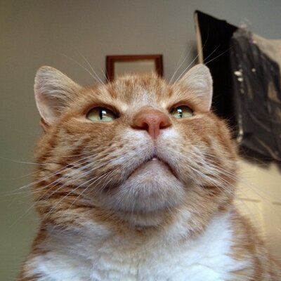 Profile Picture of John Gregson (@BFB1977) on Twitter