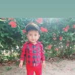 Profile Picture of Orlin David Perez (@Orlin-David-Perez) on Facebook