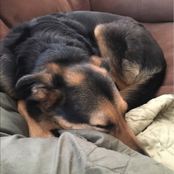 Profile Picture of Pamela Walker (@pmlawl) on Poshmark