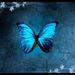 Profile Picture of Pamela Barber (@pamelawbarber) on Pinterest