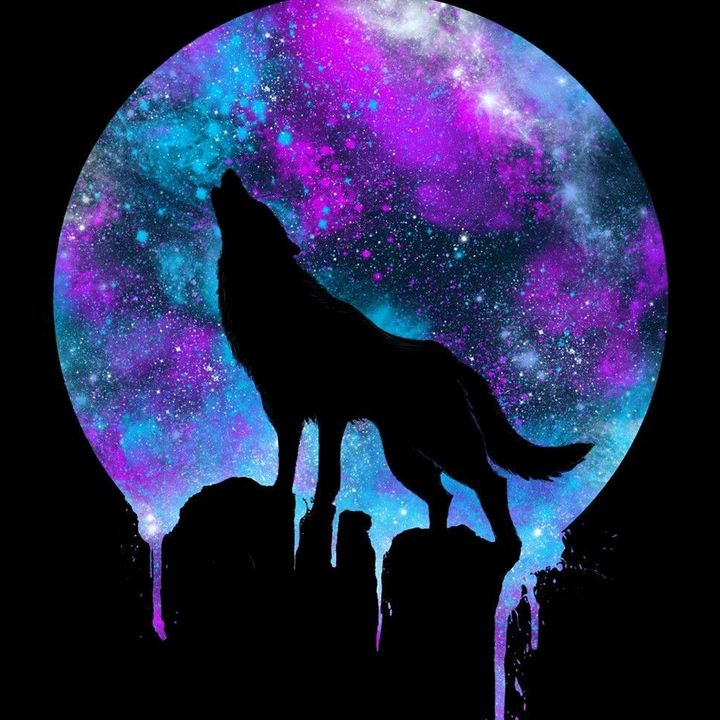 Profile Picture of Stewart Strauss (@stewartstrauss) on Tiktok