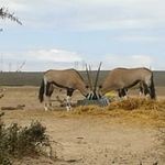 Profile Picture of Pieter Pretorius (@pieter.pretorius.58) on Instagram