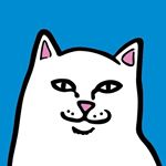 Profile Picture of Alessandro BN (@alex_bermudez68) on Instagram