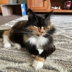 Profile Picture of Jan Tedrow (@Jan-Tedrow) on Facebook