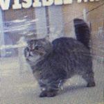 Profile Picture of Vincent Holmes (@screw_it._just_memes) on Instagram