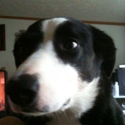 Profile Picture of Greg Boylan (@Gregky1) on Twitter