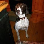 Profile Picture of Chase Harrington (@chasethegsp) on Instagram