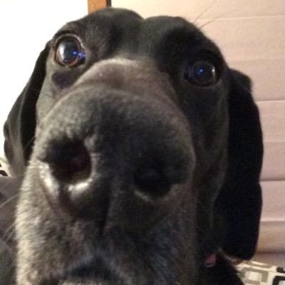 Profile Picture of Brian Wirth (@bdubwirth) on Twitter