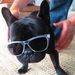 Profile Picture of Brendon Thomas (@brendon0223) on Pinterest