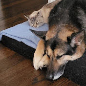 Profile Picture of Brandon Bulkley (@brandonbulkley4770) on Youtube