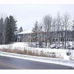 Profile Picture of Felicity Wright (@felicitywrightblue) on Instagram