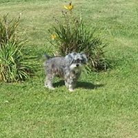 Profile Picture of Sherry Frisby Maynard (@sherry-frisby-maynard) on Quora