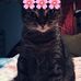 Profile Picture of Alexa Satcher (@alexa.satcher.1) on Facebook