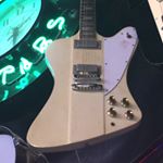 Profile Picture of Jason Swedberg (@jscott_lutherie) on Instagram