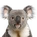 Profile Picture of Michael Kempter (@michael.kempter.56) on Facebook