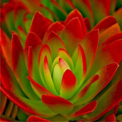 Profile Picture of Ava Martin (@1avamartin) on Twitter