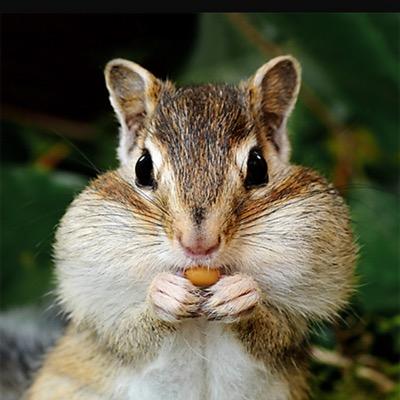 Profile Picture of Joe Clune-georgiou (@galway_lover) on Twitter