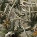 Profile Picture of Neal Hayes (@conh1975) on Pinterest