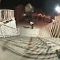 Profile Picture of skateraz1 (@@skateraz1) on Tiktok