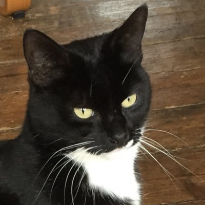 Sally Cole - Twitter Profile Picture of Sally Cole (@sa11yco1e) on Twitter