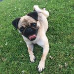 Aisling Curran - Instagram Profile Picture of Aisling Curran (@aislingcurran74) on Instagram