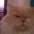 Profile Picture of   Nathaly Cabrera... (@nathalycabrera18) on Tiktok